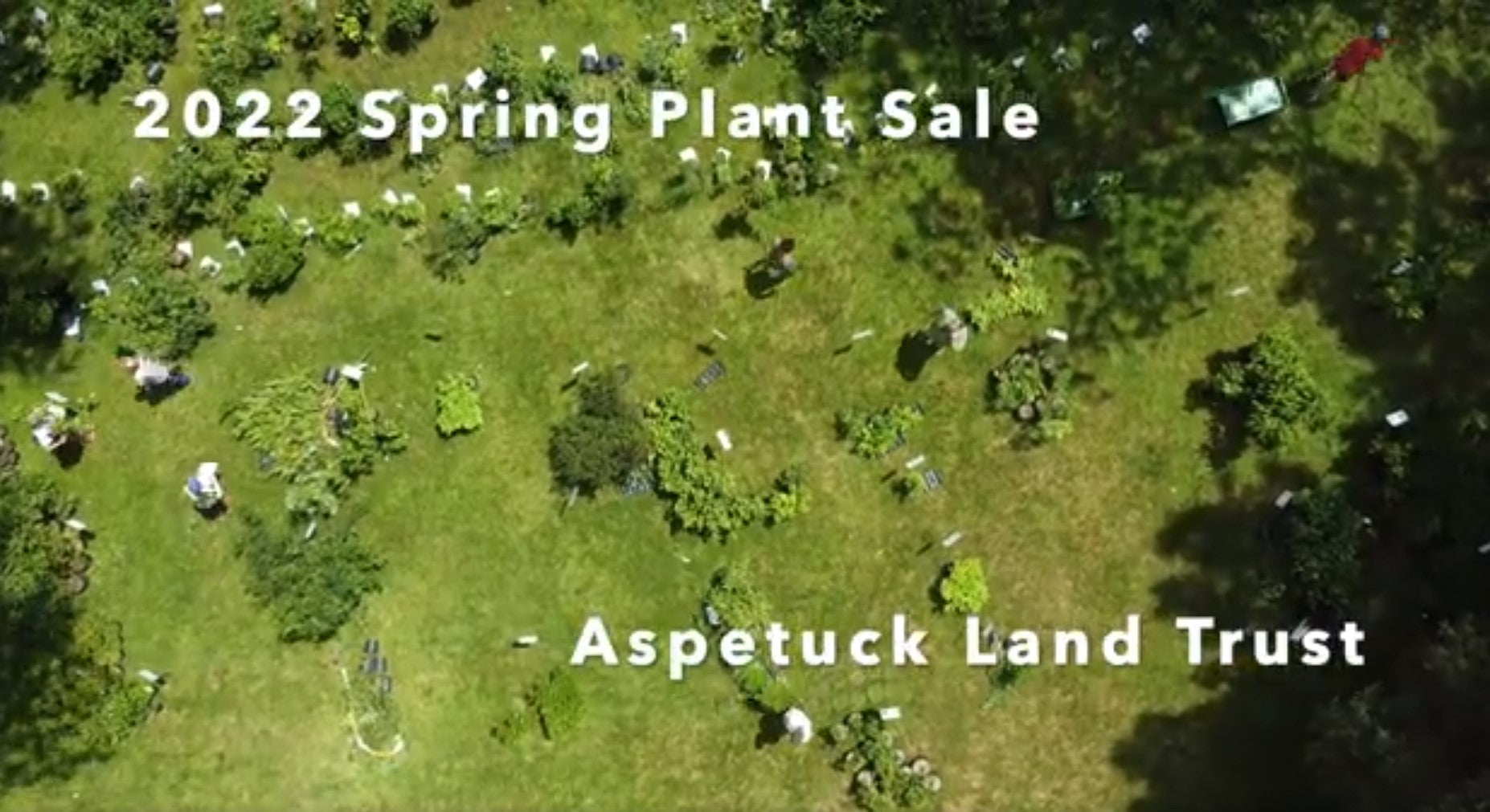 Load video: ALT 2022 Spring Plant Sale